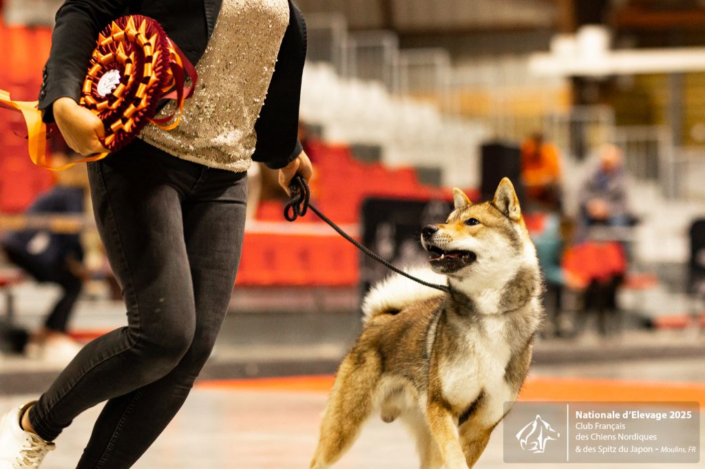 Résultats de la Nationale d'Elevage 2025